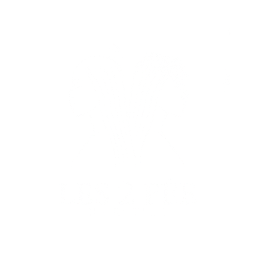 LES 2 FÉES HAIRSTYLE